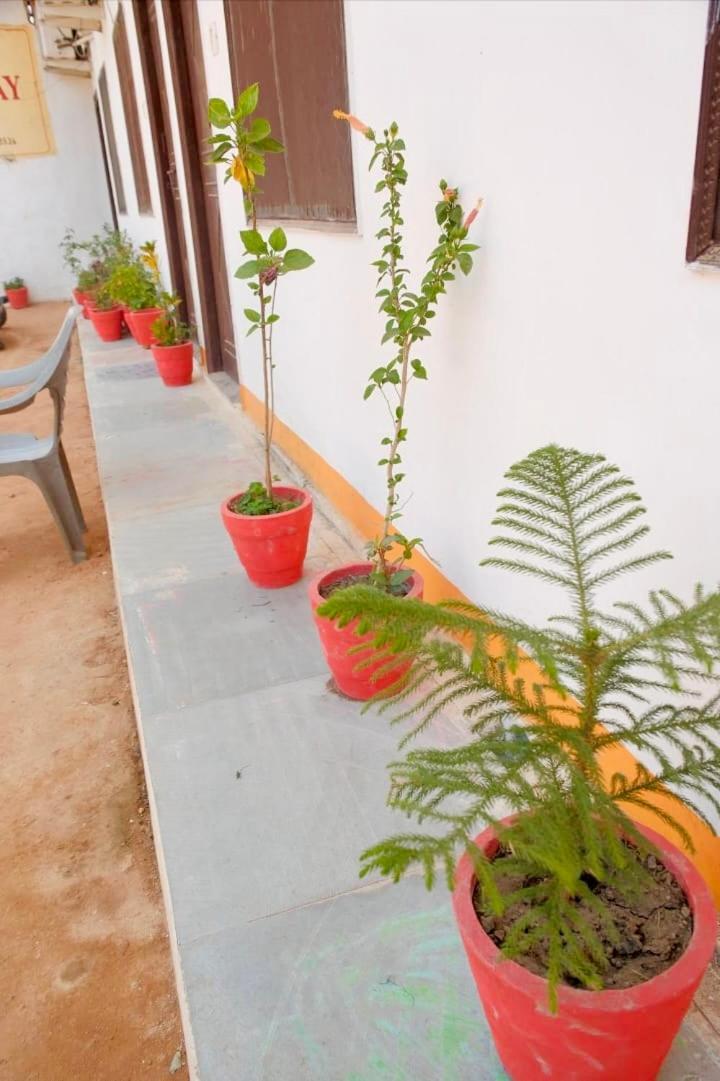 Backpackers Karma Home Stay Кхаджурахо Экстерьер фото